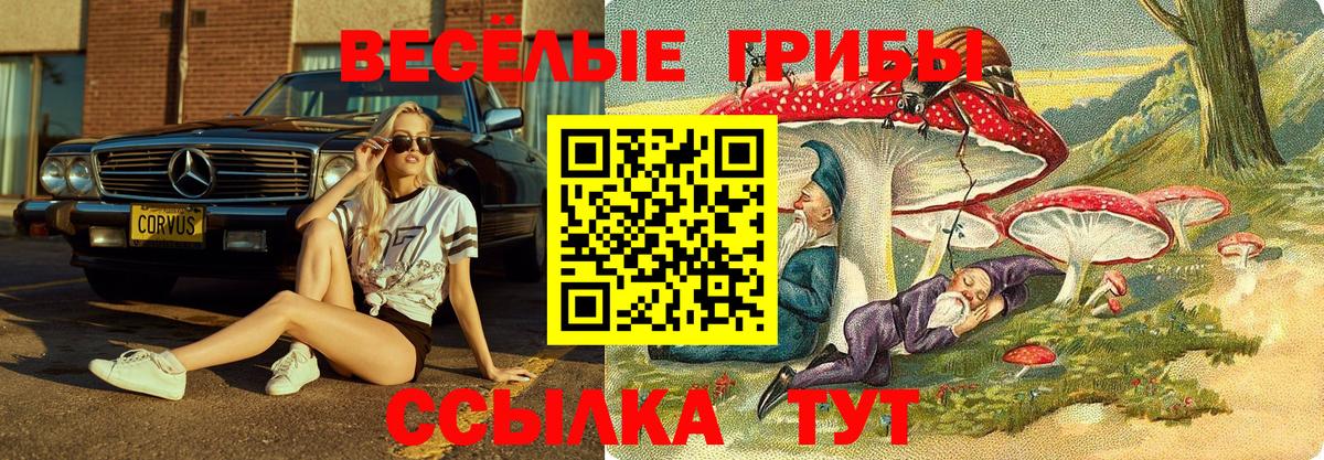 Псилоцибиновые грибы ЛСД Сибай